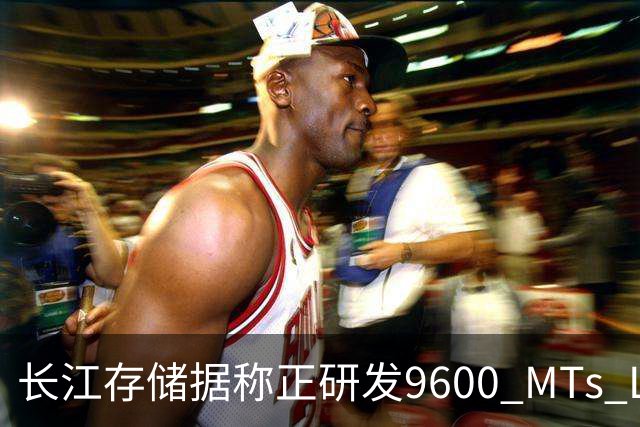 长江存储据称正研发9600 MT/s LPDDR5X内存 计划推进量产